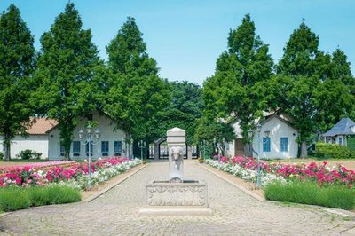🌳 나뭇잎 사이로 비치는 햇살 숲의 이바라이도(코모레비모리노 이바라이도) 이미지 2